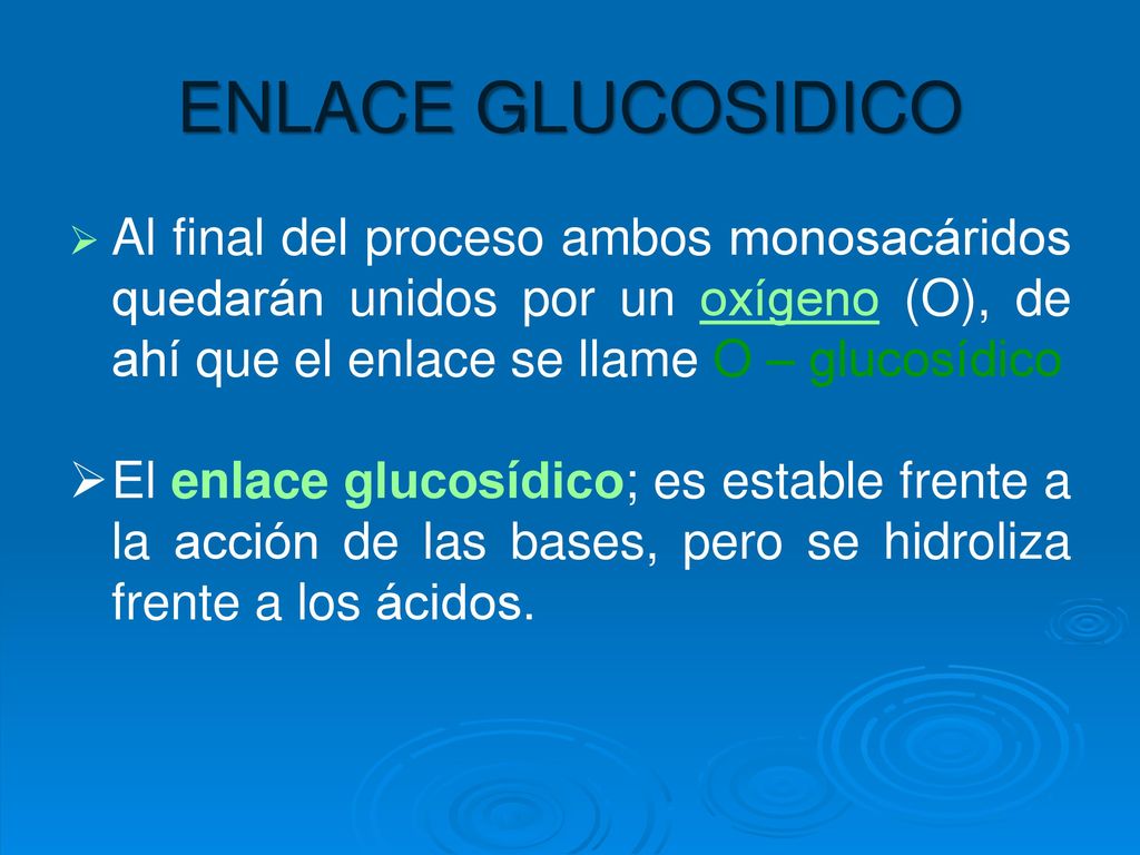 ENLACE GLUCOSIDICO Al final del proceso ambos monosacáridos quedarán unidos por un oxígeno (O), de ahí que el enlace se llame O – glucosídico.