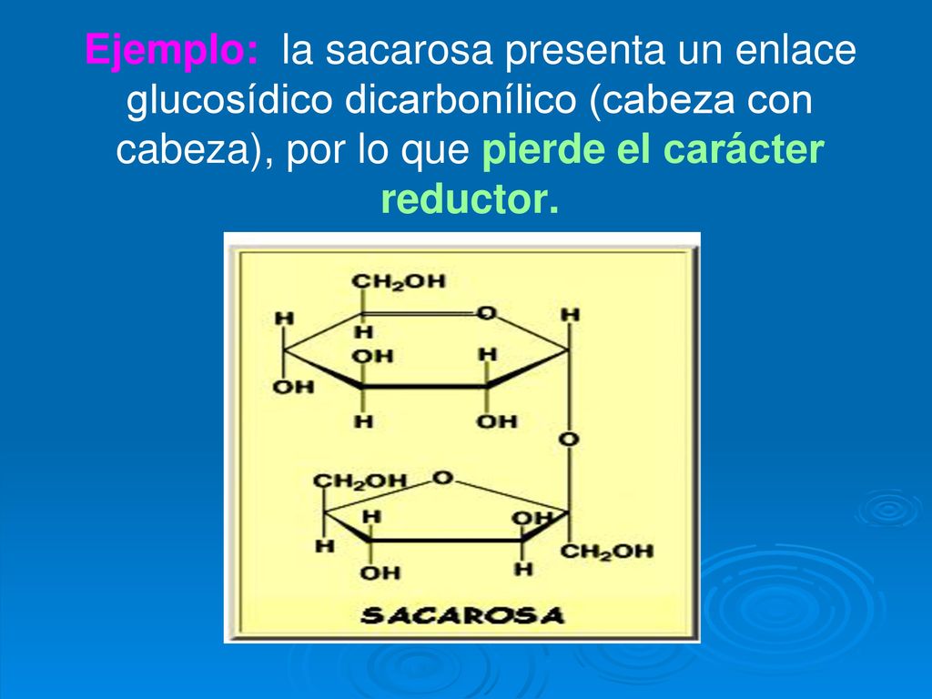 Ejemplo: la sacarosa presenta un enlace glucosídico dicarbonílico (cabeza con cabeza), por lo que pierde el carácter reductor.