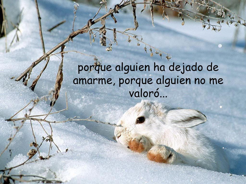 porque alguien ha dejado de amarme, porque alguien no me valoró...