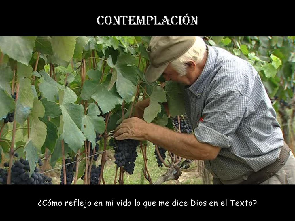 ¿Cómo reflejo en mi vida lo que me dice Dios en el Texto