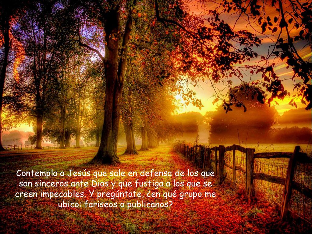 Contempla a Jesús que sale en defensa de los que son sinceros ante Dios y que fustiga a los que se creen impecables.