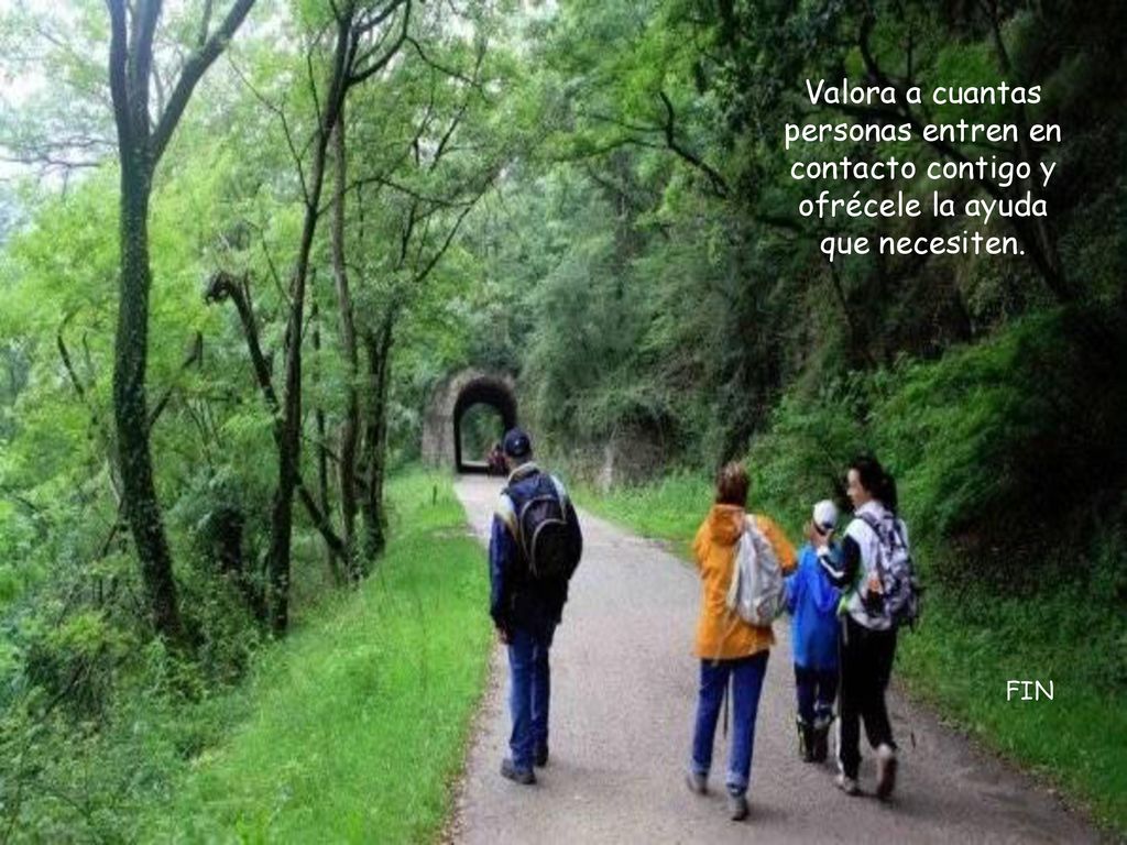 Valora a cuantas personas entren en contacto contigo y ofrécele la ayuda que necesiten.