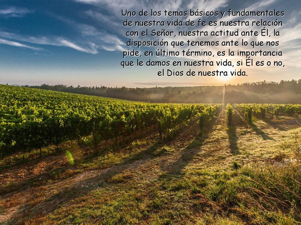 Uno de los temas básicos y fundamentales de nuestra vida de fe es nuestra relación con el Señor, nuestra actitud ante Él, la disposición que tenemos ante lo que nos pide, en último término, es la importancia que le damos en nuestra vida, si Él es o no, el Dios de nuestra vida.