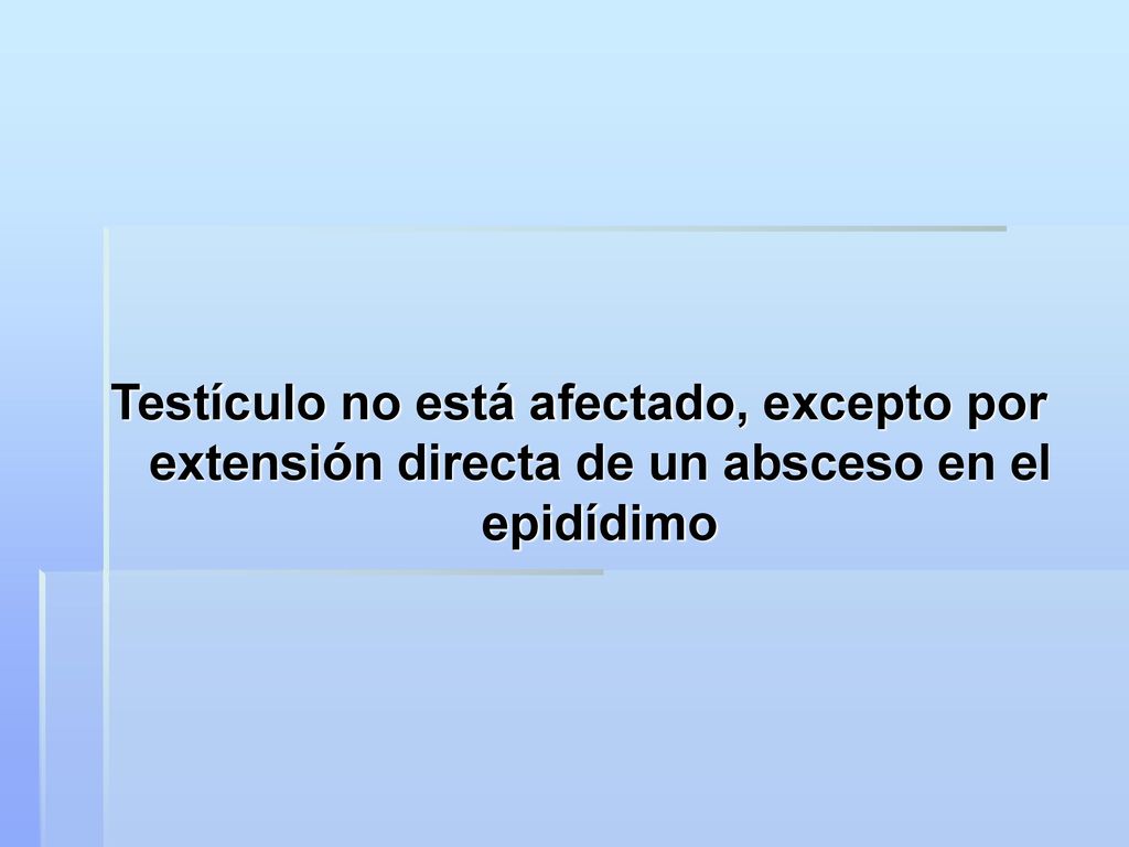 Testículo no está afectado, excepto por extensión directa de un absceso en el epidídimo