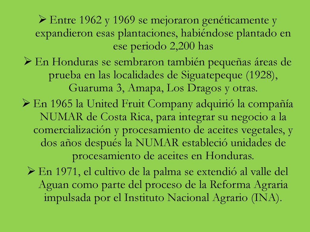 Entre 1962 y 1969 se mejoraron genéticamente y expandieron esas plantaciones, habiéndose plantado en ese periodo 2,200 has