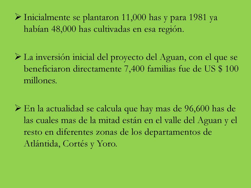 Inicialmente se plantaron 11,000 has y para 1981 ya habían 48,000 has cultivadas en esa región.