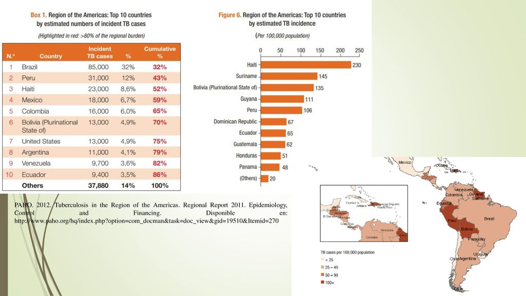 Actualmente, Perú es el segundo país de América Latina en números de casos de esta enfermedad infecciosa después de Brasil, a pesar de que su población (31 millones) en más de seis veces inferior (207 millones), según cifras de la OMS