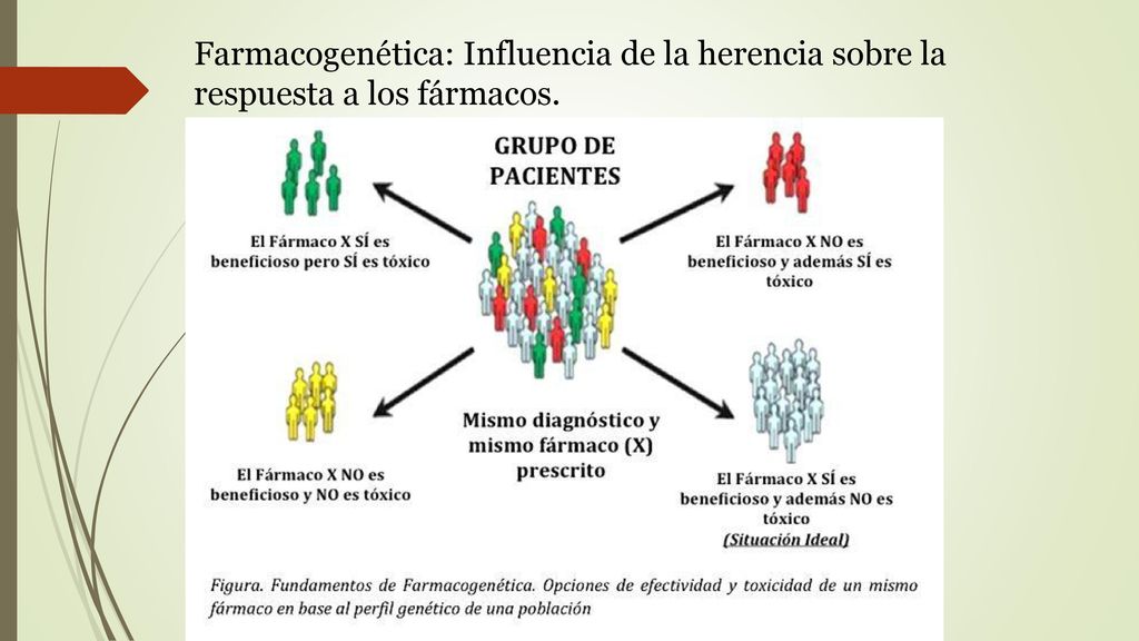 Farmacogenética: Influencia de la herencia sobre la respuesta a los fármacos.