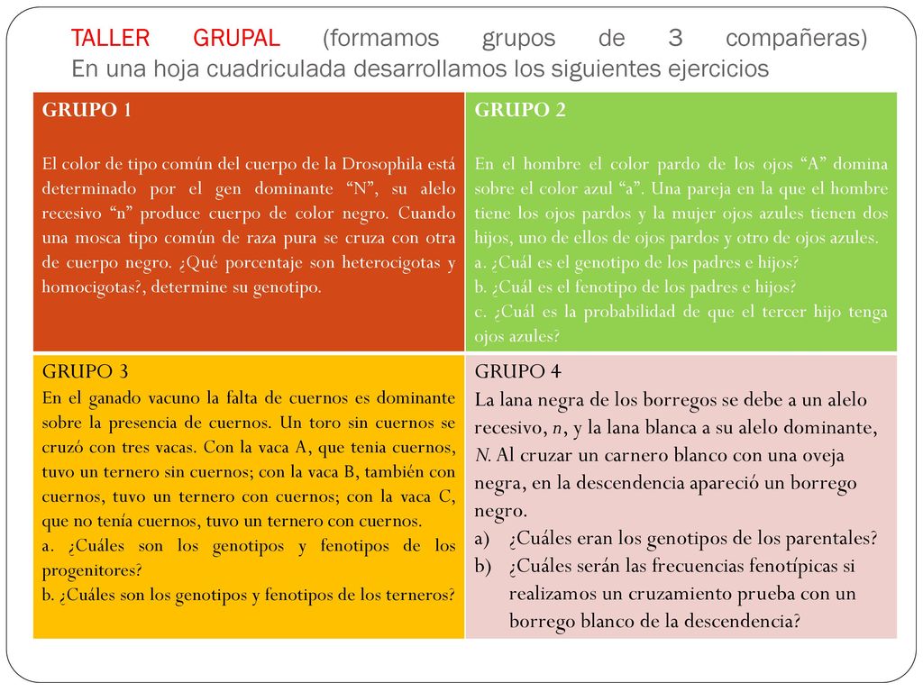 TALLER GRUPAL (formamos grupos de 3 compañeras) En una hoja cuadriculada desarrollamos los siguientes ejercicios