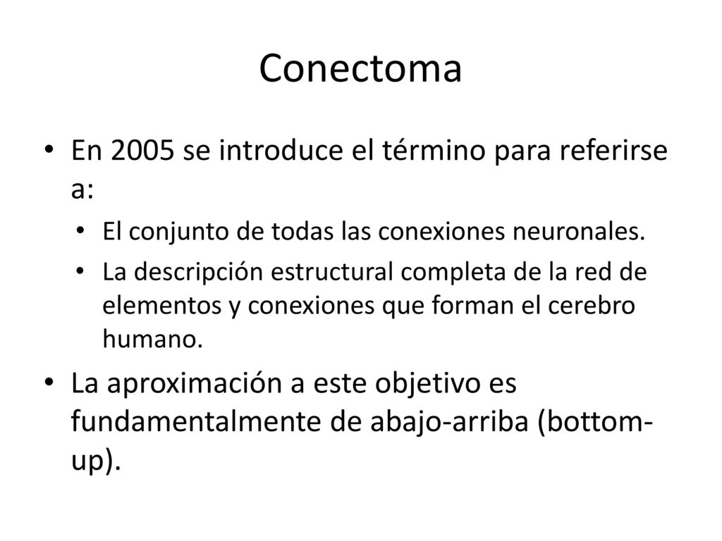 Conectoma En 2005 se introduce el término para referirse a: