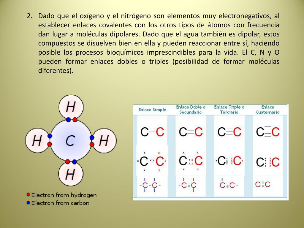 Dado que el oxígeno y el nitrógeno son elementos muy electronegativos, al establecer enlaces covalentes con los otros tipos de átomos con frecuencia dan lugar a moléculas dipolares.