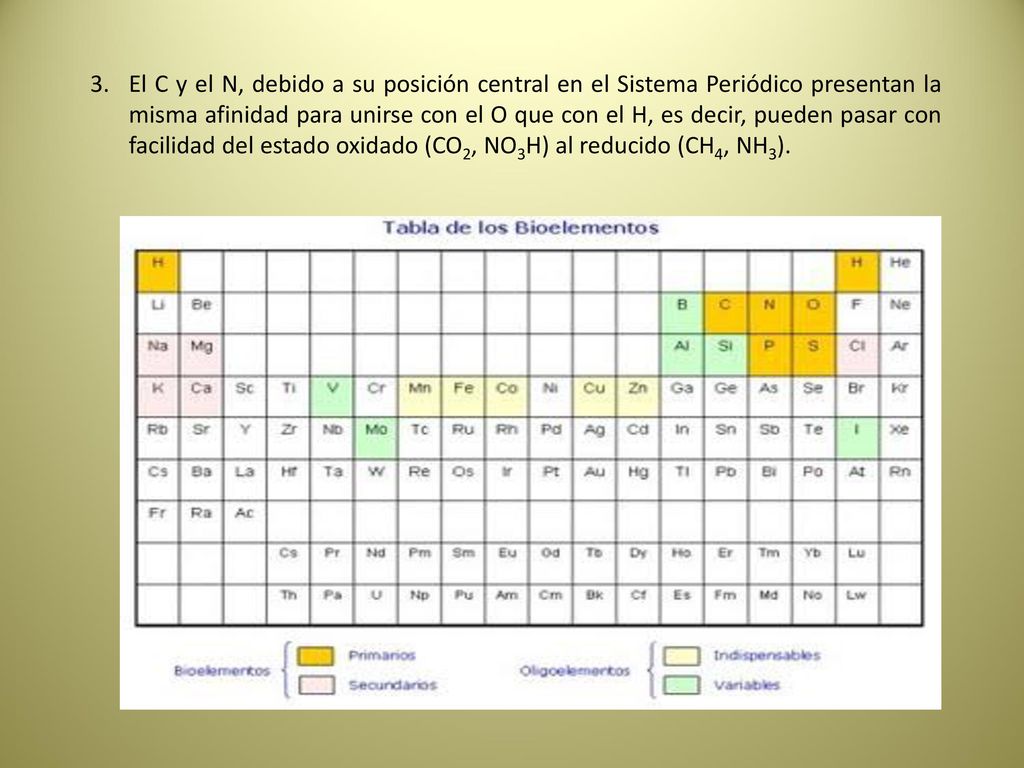 El C y el N, debido a su posición central en el Sistema Periódico presentan la misma afinidad para unirse con el O que con el H, es decir, pueden pasar con facilidad del estado oxidado (CO2, NO3H) al reducido (CH4, NH3).