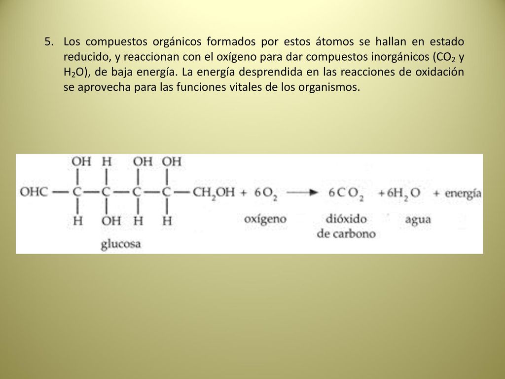 Los compuestos orgánicos formados por estos átomos se hallan en estado reducido, y reaccionan con el oxígeno para dar compuestos inorgánicos (CO2 y H2O), de baja energía.