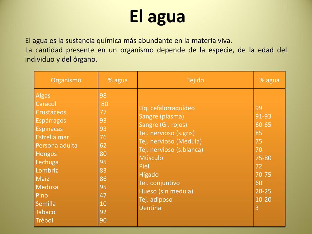 El agua El agua es la sustancia química más abundante en la materia viva.