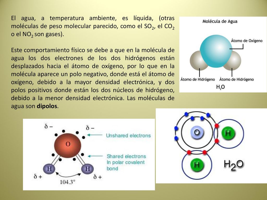 El agua, a temperatura ambiente, es líquida, (otras moléculas de peso molecular parecido, como el SO2, el CO2 o el NO2 son gases).