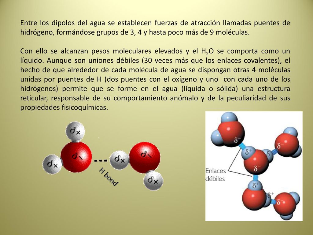 Entre los dipolos del agua se establecen fuerzas de atracción llamadas puentes de hidrógeno, formándose grupos de 3, 4 y hasta poco más de 9 moléculas.