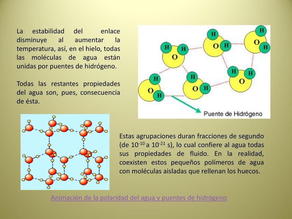 La estabilidad del enlace disminuye al aumentar la temperatura, así, en el hielo, todas las moléculas de agua están unidas por puentes de hidrógeno.