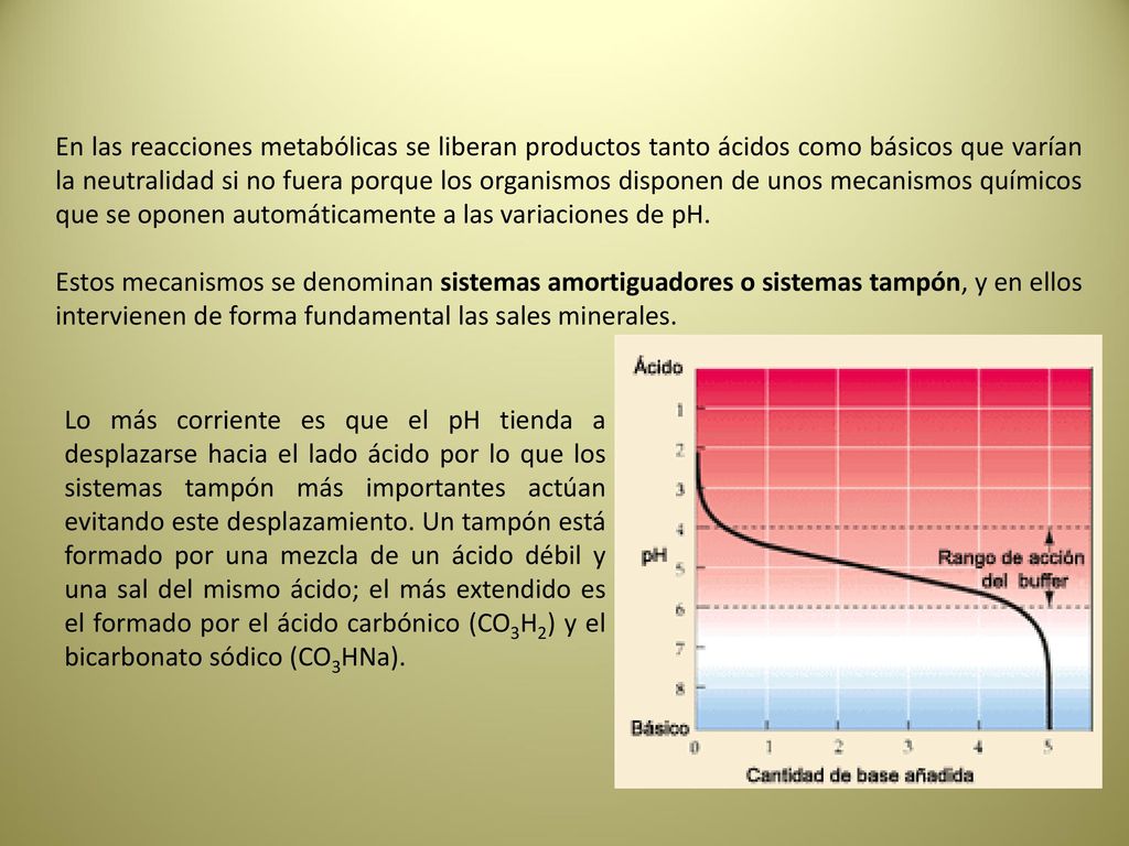 En las reacciones metabólicas se liberan productos tanto ácidos como básicos que varían la neutralidad si no fuera porque los organismos disponen de unos mecanismos químicos que se oponen automáticamente a las variaciones de pH.