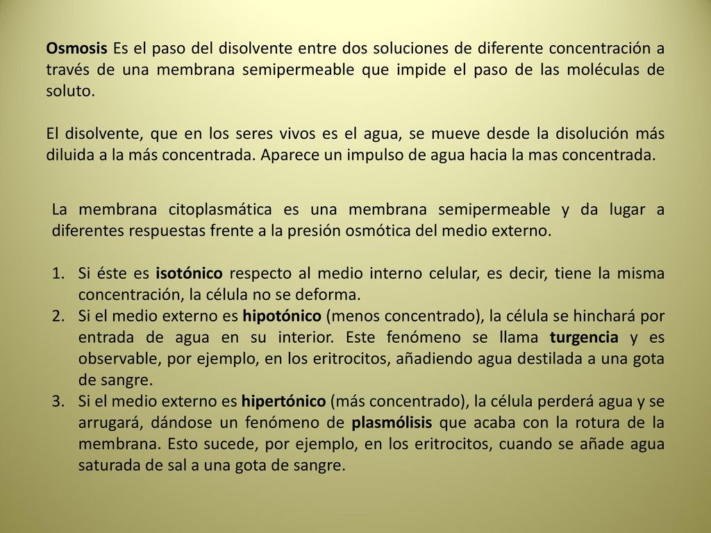 Osmosis Es el paso del disolvente entre dos soluciones de diferente concentración a través de una membrana semipermeable que impide el paso de las moléculas de soluto.