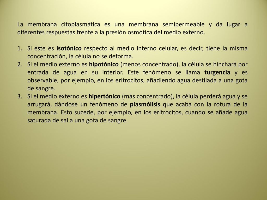 La membrana citoplasmática es una membrana semipermeable y da lugar a diferentes respuestas frente a la presión osmótica del medio externo.