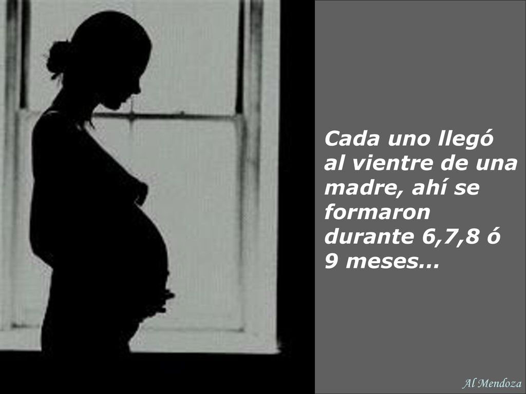 Cada uno llegó al vientre de una madre, ahí se formaron durante 6,7,8 ó 9 meses...