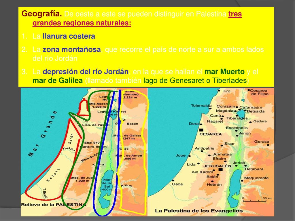 Geografía. De oeste a este se pueden distinguir en Palestina tres grandes regiones naturales: