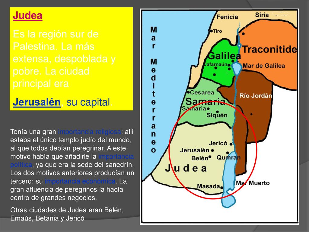 Judea Es la región sur de Palestina. La más extensa, despoblada y pobre. La ciudad principal era. Jerusalén, su capital.