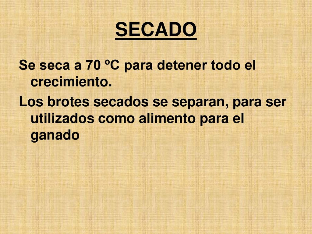 SECADO Se seca a 70 ºC para detener todo el crecimiento.