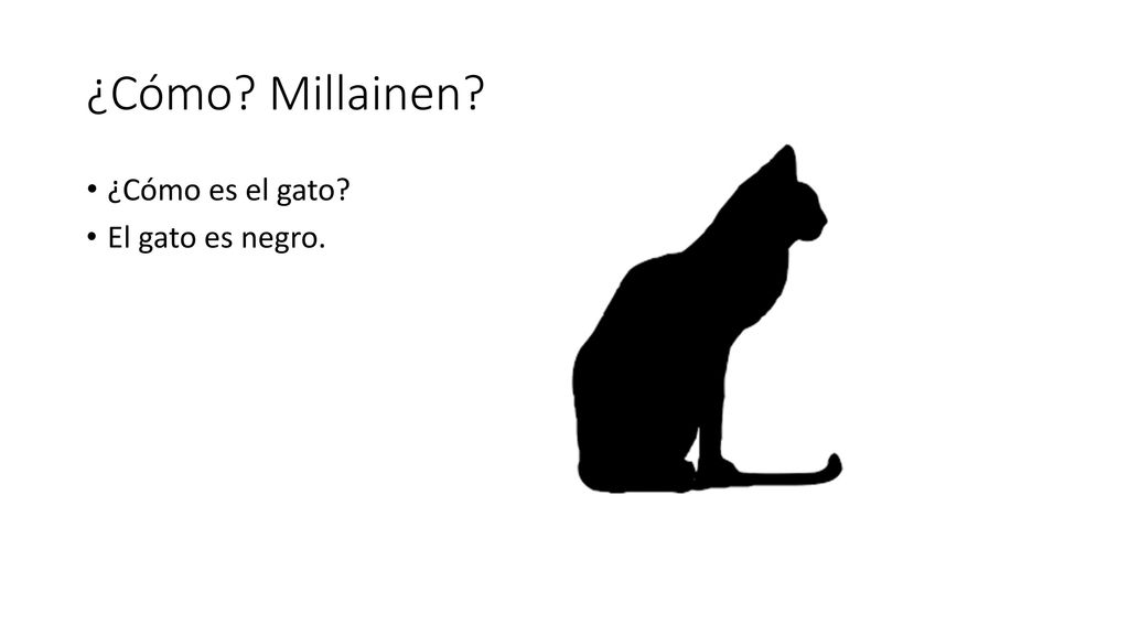 ¿Cómo Millainen ¿Cómo es el gato El gato es negro.