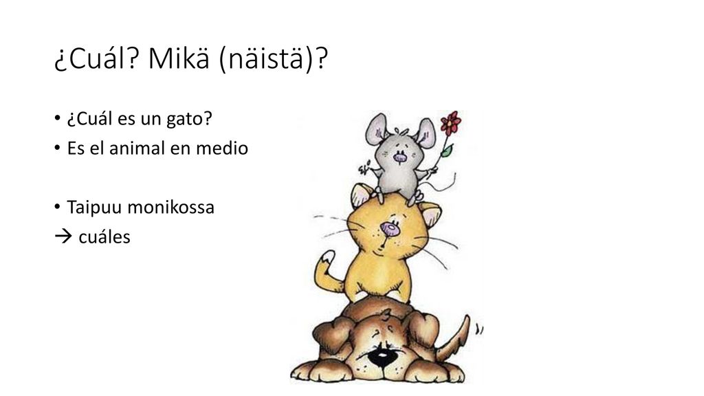 ¿Cuál Mikä (näistä) ¿Cuál es un gato Es el animal en medio