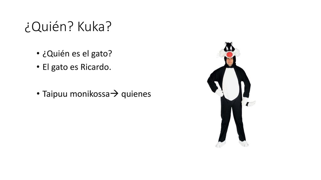 ¿Quién Kuka ¿Quién es el gato El gato es Ricardo.