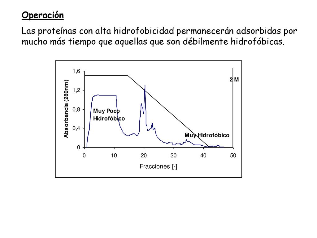 Operación Las proteínas con alta hidrofobicidad permanecerán adsorbidas por mucho más tiempo que aquellas que son débilmente hidrofóbicas.