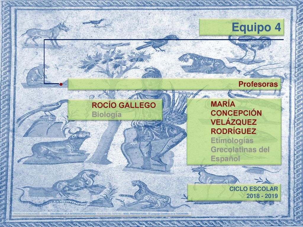 Equipo 4 Profesoras MARÍA CONCEPCIÓN VELÁZQUEZ RODRÍGUEZ ROCÍO GALLEGO