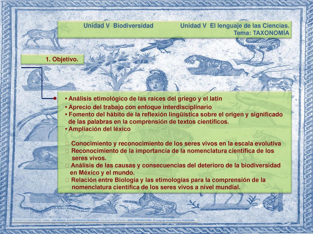 Unidad V Biodiversidad Unidad V El lenguaje de las Ciencias.