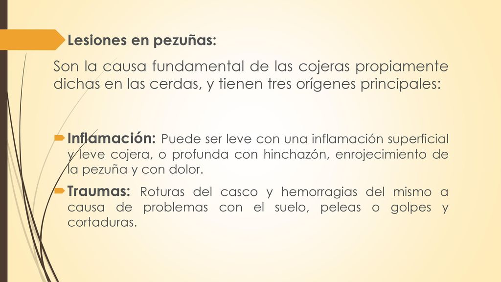 Lesiones en pezuñas: Son la causa fundamental de las cojeras propiamente dichas en las cerdas, y tienen tres orígenes principales: