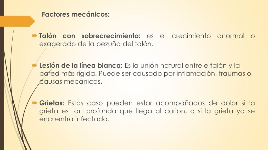 Factores mecánicos: Talón con sobrecrecimiento: es el crecimiento anormal o exagerado de la pezuña del talón.