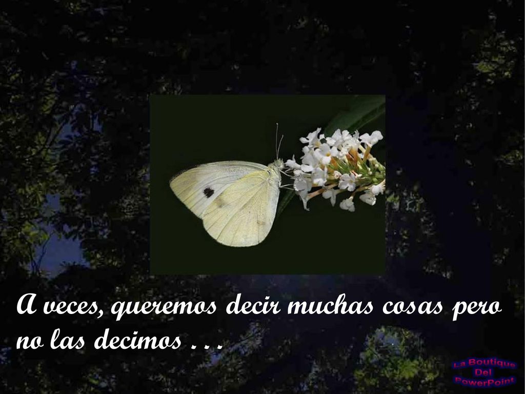 A veces, queremos decir muchas cosas pero no las decimos . . .