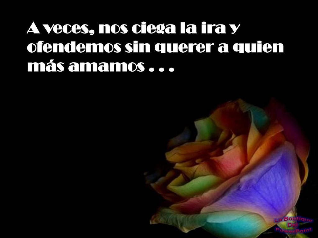 A veces, nos ciega la ira y ofendemos sin querer a quien más amamos . . .