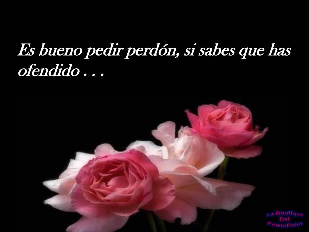 Es bueno pedir perdón, si sabes que has ofendido . . .