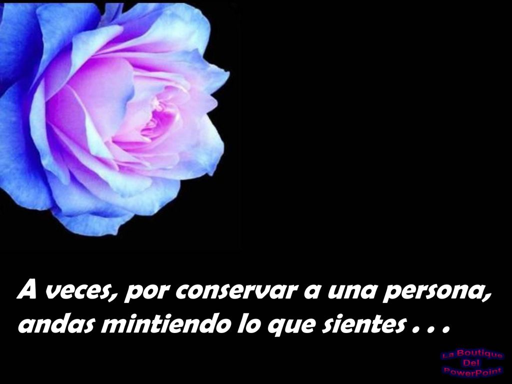 A veces, por conservar a una persona, andas mintiendo lo que sientes . . .