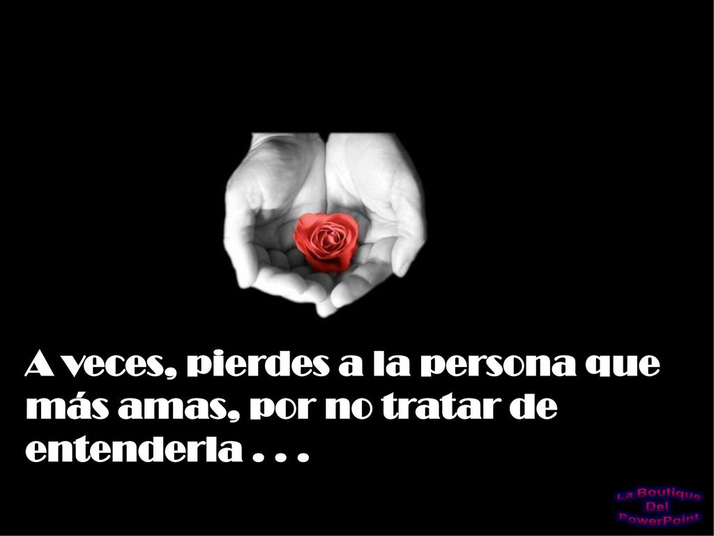 A veces, pierdes a la persona que más amas, por no tratar de entenderla . . .