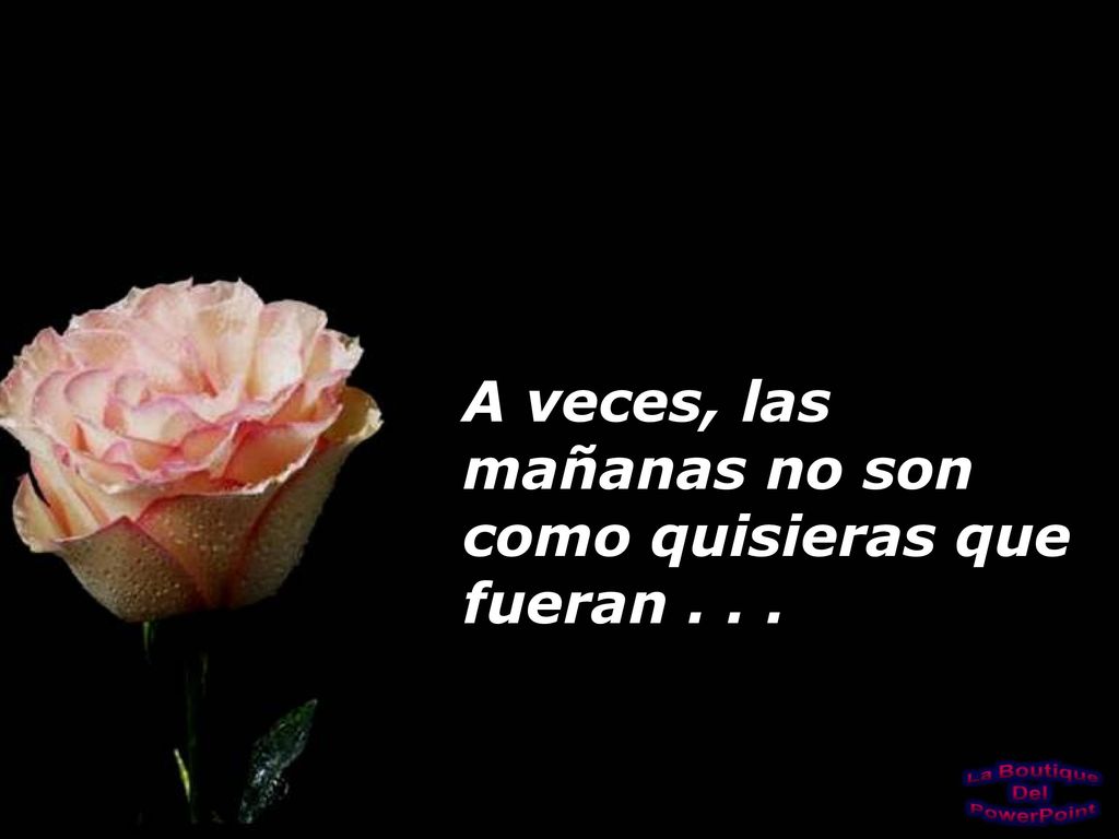 A veces, las mañanas no son como quisieras que fueran . . .