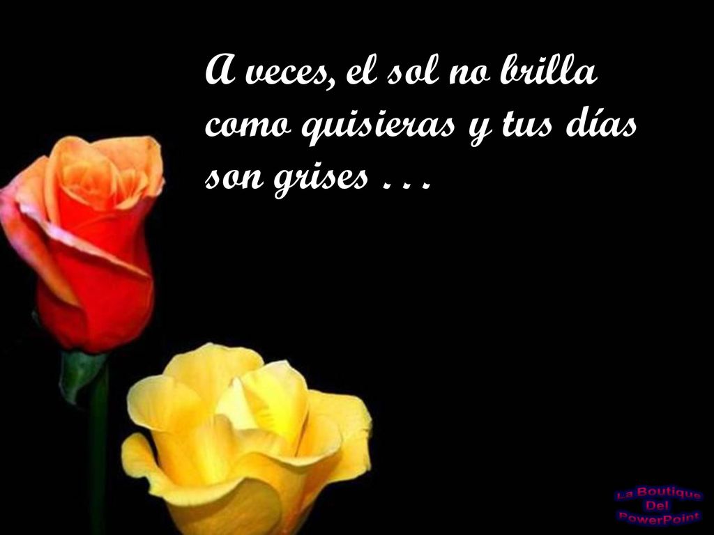 A veces, el sol no brilla como quisieras y tus días son grises . . .