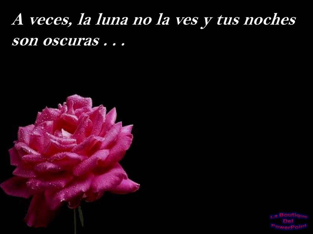 A veces, la luna no la ves y tus noches son oscuras . . .