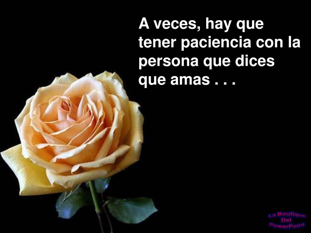 A veces, hay que tener paciencia con la persona que dices que amas . . .