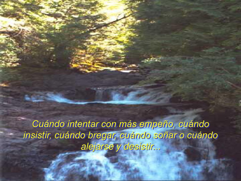 Cuándo intentar con más empeño, cuándo insistir, cuándo bregar, cuándo soñar o cuándo alejarse y desistir...