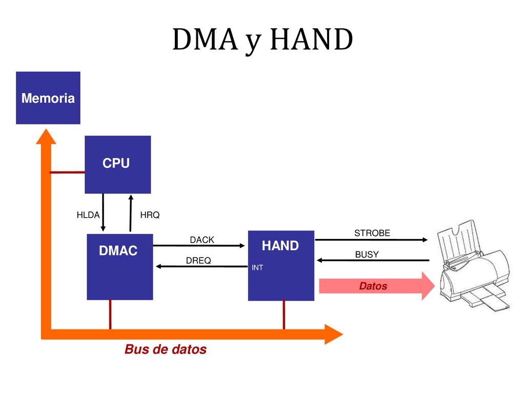 DMA y HAND Memoria CPU HAND DMAC Bus de datos Datos HLDA HRQ STROBE