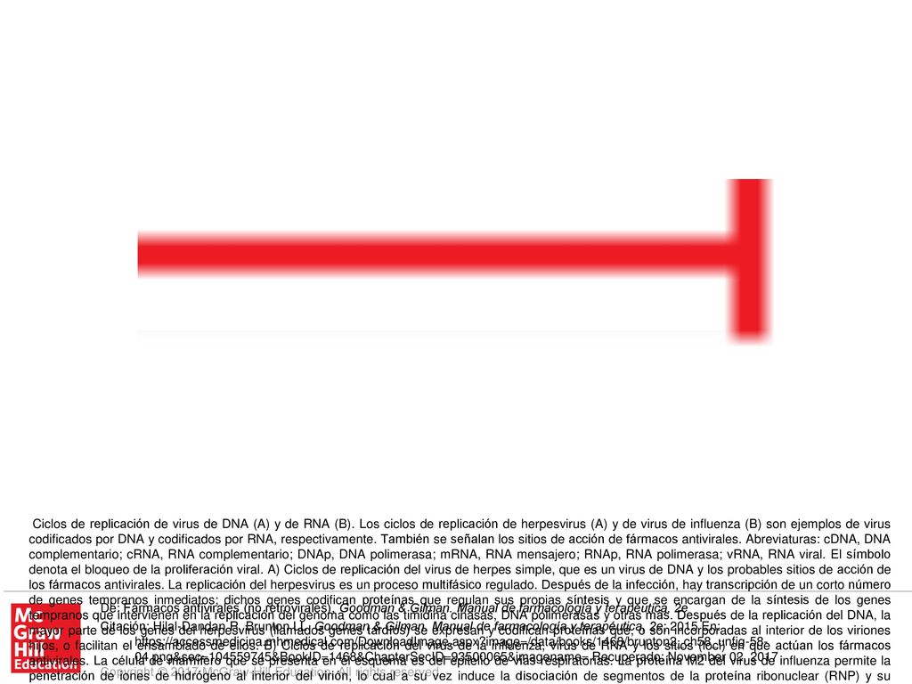 Ciclos de replicación de virus de DNA (A) y de RNA (B)