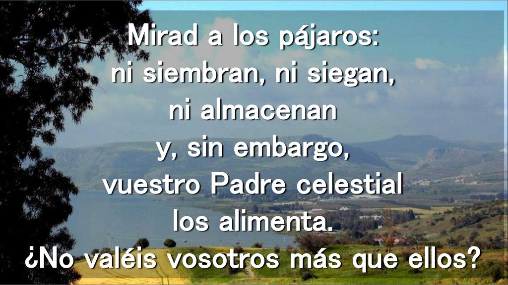 Mirad a los pájaros: ni siembran, ni siegan, ni almacenan y, sin embargo, vuestro Padre celestial los alimenta.