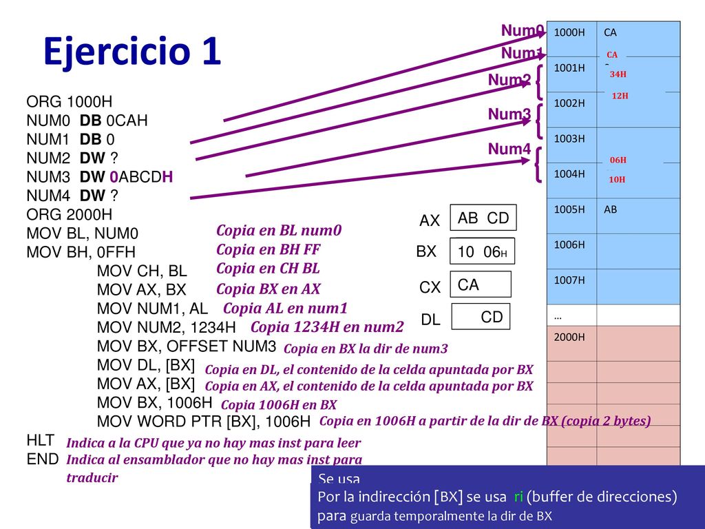 Ejercicio 1 Num0 Num1 Num2 Num3 Num4 ORG 1000H NUM0 DB 0CAH NUM1 DB 0